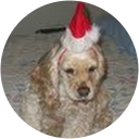 JR Bell profile picture